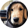 IgniteHost